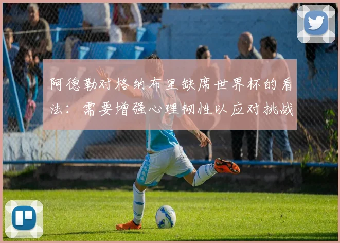 阿德勒对格纳布里缺席世界杯的看法：需要增强心理韧性以应对挑战