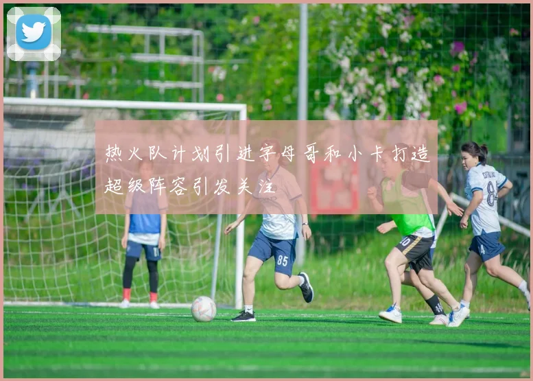 热火队计划引进字母哥和小卡打造超级阵容引发关注