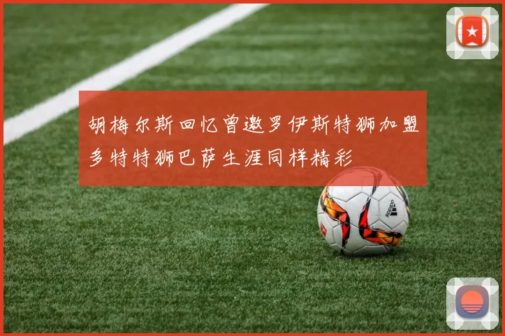 胡梅尔斯回忆曾邀罗伊斯特狮加盟多特特狮巴萨生涯同样精彩